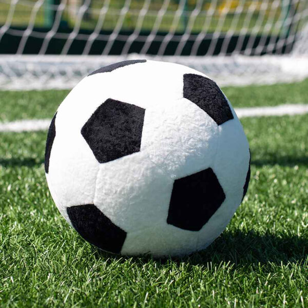 Mumbles Zippie Football Thumbnail